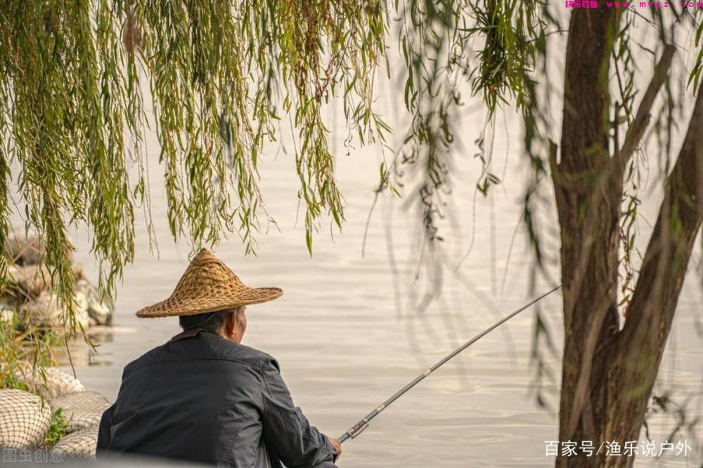 夏季钓草鱼的技巧详解钓具、钓饵、钓点、钓法(图9) 夏季钓草鱼的技巧详解钓具、钓饵、钓点、钓法(图9)
