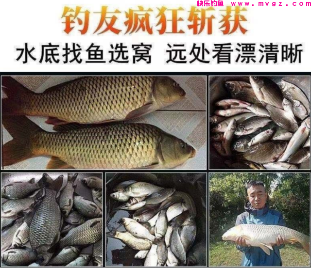 北京大爷在护城河钓上大草鱼，足足1米多长，怕惹事又给放了(图11)