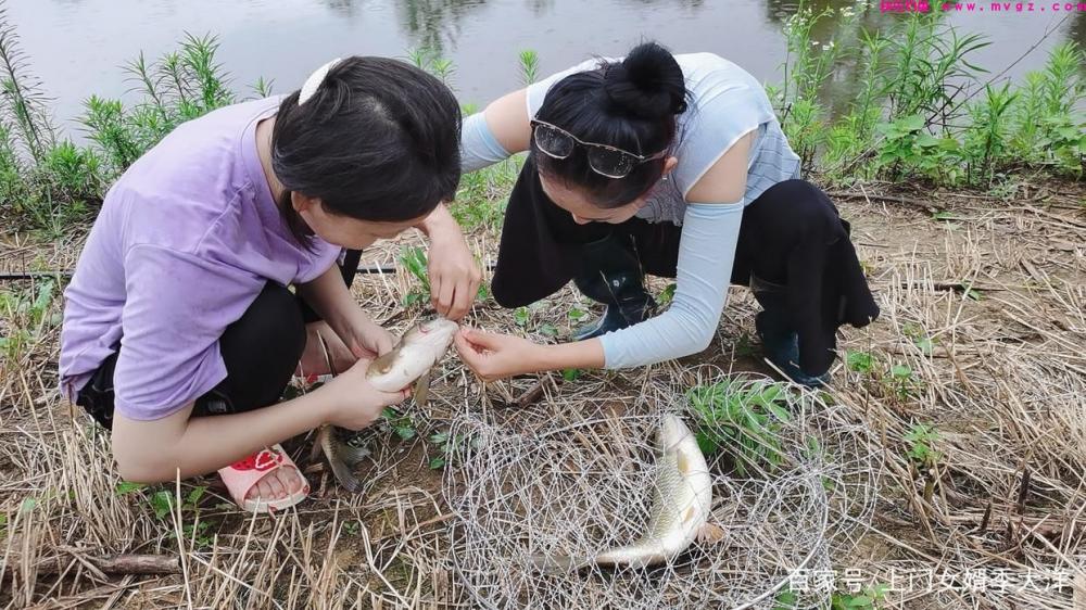 夏季是垂钓草鱼的黄金季节,那么我们该如何去钓呢?(图2) 夏季是垂钓草鱼的黄金季节,那么我们该如何去钓呢?(图2)