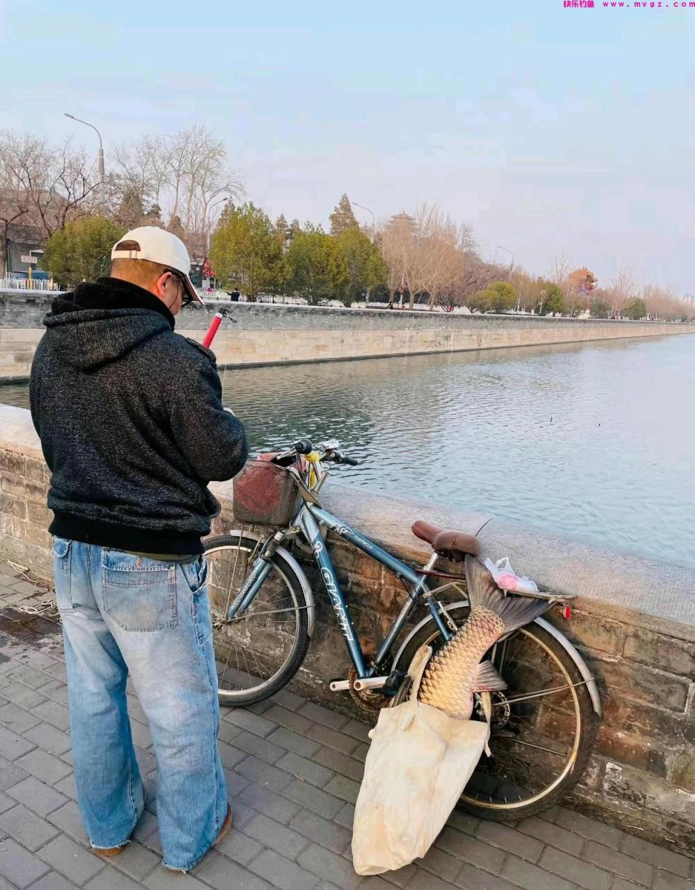男子钓起故宫护城河的“草鱼王”，网友：你这是动了龙气！(图2)