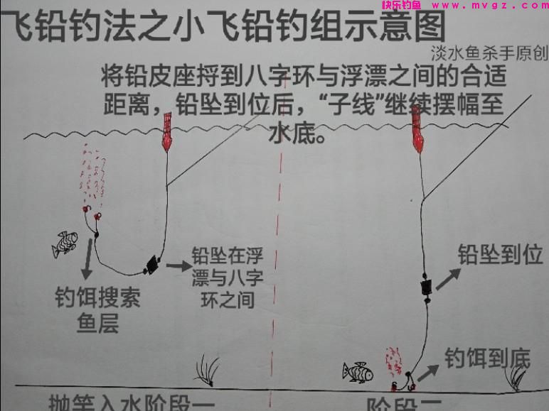 它被称为“草鱼收割机”,简单又实用。详解博大物利器:飞铅钓法(图5) 它被称为“草鱼收割机”,简单又实用。详解博大物利器:飞铅钓法(图5)