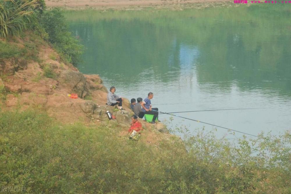 水库钓草鱼用什么方法?(图2) 水库钓草鱼用什么方法?(图2)