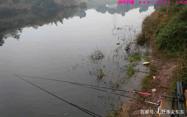 秋末初冬如何钓草鱼?掌握这三个要点,渔获不会太差(图3) 秋末初冬如何钓草鱼?掌握这三个要点,渔获不会太差(图3)