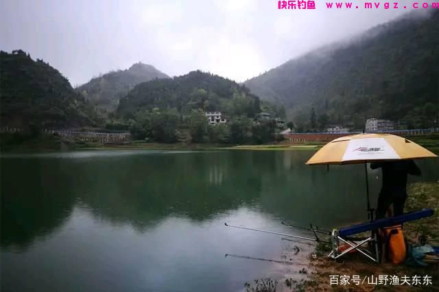 秋末初冬如何钓草鱼?掌握这三个要点,渔获不会太差(图4) 秋末初冬如何钓草鱼?掌握这三个要点,渔获不会太差(图4)