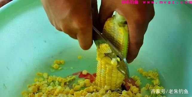 钓鱼随记-浅谈怎样钓好草鱼？(图3)