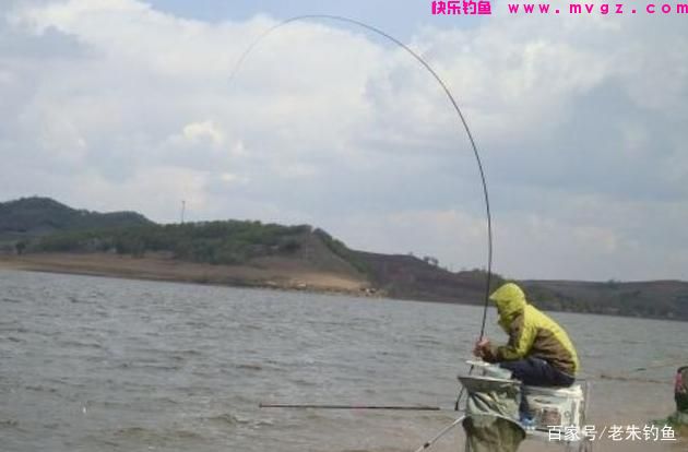 钓鱼随记-浅谈怎样钓好草鱼？(图5)
