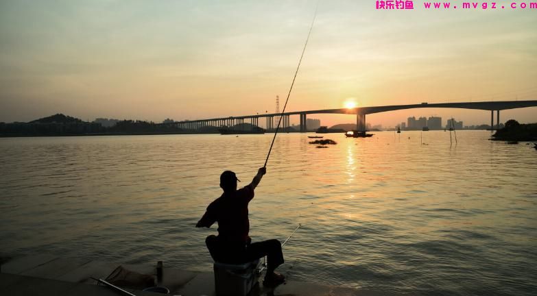 每逢夏季，我必用这些技巧钓草鱼，不吹不黑，十几年来从未失手(图4)