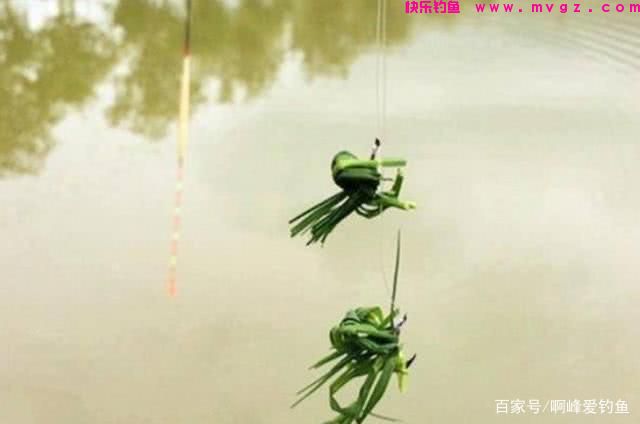 为了钓好草鱼，到处问钓法，找“秘方”，殊不知最简单的在身边(图6)