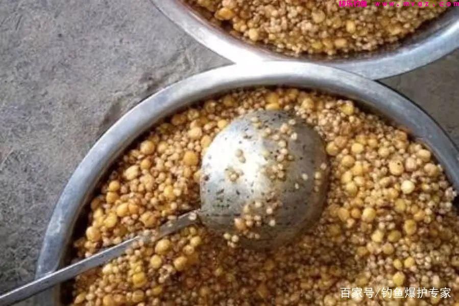 钓草鱼怎么钓?钓草鱼用什么鱼饵最好?(图3) 钓草鱼怎么钓?钓草鱼用什么鱼饵最好?(图3)