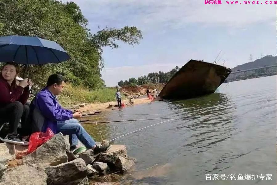 钓草鱼怎么钓?钓草鱼用什么鱼饵最好?(图1) 钓草鱼怎么钓?钓草鱼用什么鱼饵最好?(图1)