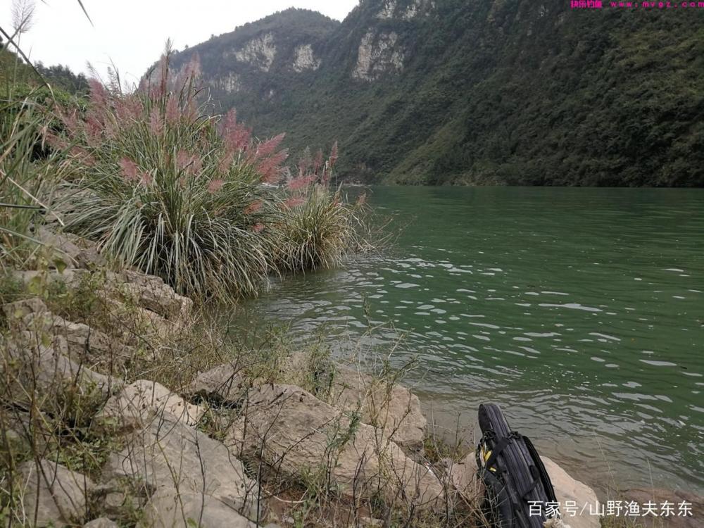 大草鱼的垂钓技巧，记住这几个细节，让你多钓上几条(图2)