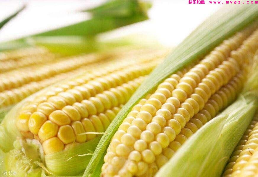 三种奇葩的草鱼钓法，每一种都是不传之秘(图3)