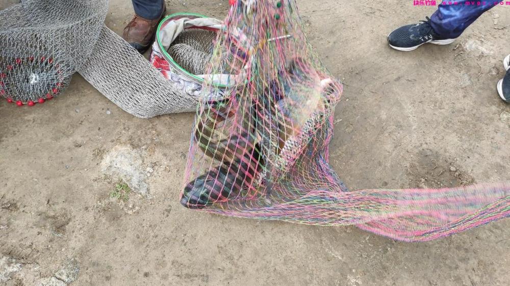 三种奇葩的草鱼钓法，每一种都是不传之秘(图5)