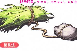 钓草鱼最有效的方法，只要知道这个细节，你就是大师！(图2)