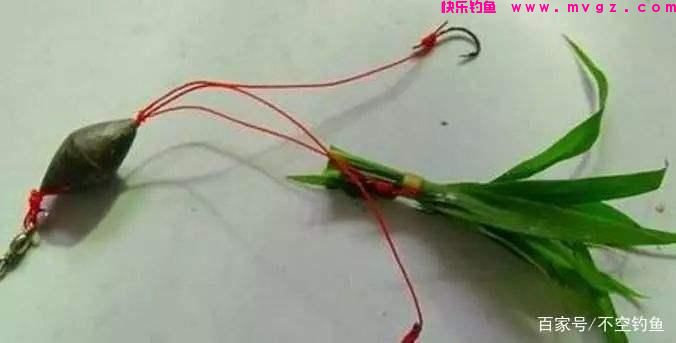 全水域钓草鱼攻略,看过就会,没有比草鱼更好钓的鱼了(图5) 全水域钓草鱼攻略,看过就会,没有比草鱼更好钓的鱼了(图5)