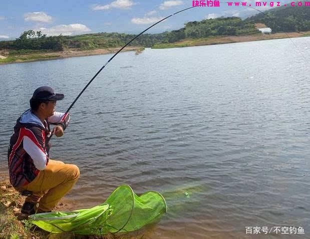 全水域钓草鱼攻略,看过就会,没有比草鱼更好钓的鱼了(图9) 全水域钓草鱼攻略,看过就会,没有比草鱼更好钓的鱼了(图9)