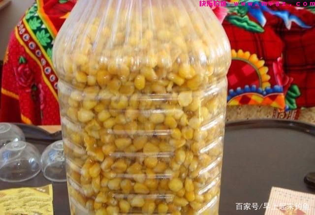 秋季专攻「草鱼」三种绝佳钓法，屡战屡胜，不信你试试(图3)