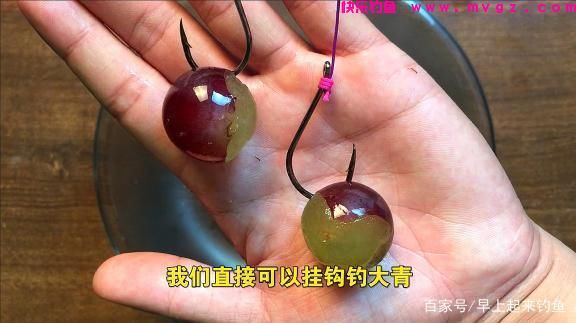 秋季专攻「草鱼」三种绝佳钓法，屡战屡胜，不信你试试(图7)