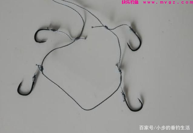 怎样才能钓到大草鱼，教你几招轻松应对！(图4)