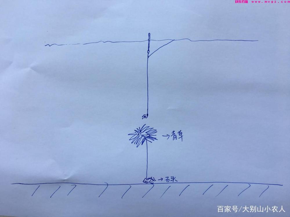 夏天来了，草鱼怎么钓？这3种方法，助你钓草鱼时露一手(图2)