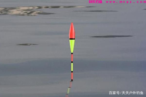 草鱼的三种远投钓法,简单有效,助你连竿大草鱼!(图4) 草鱼的三种远投钓法,简单有效,助你连竿大草鱼!(图4)