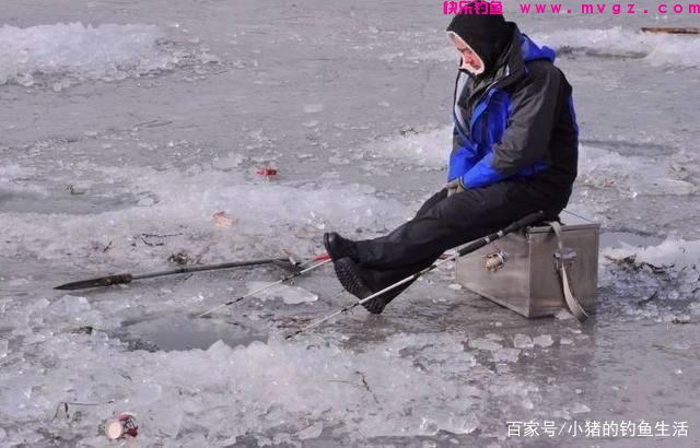 「野钓」怎么钓草鱼?(图4) 「野钓」怎么钓草鱼?(图4)
