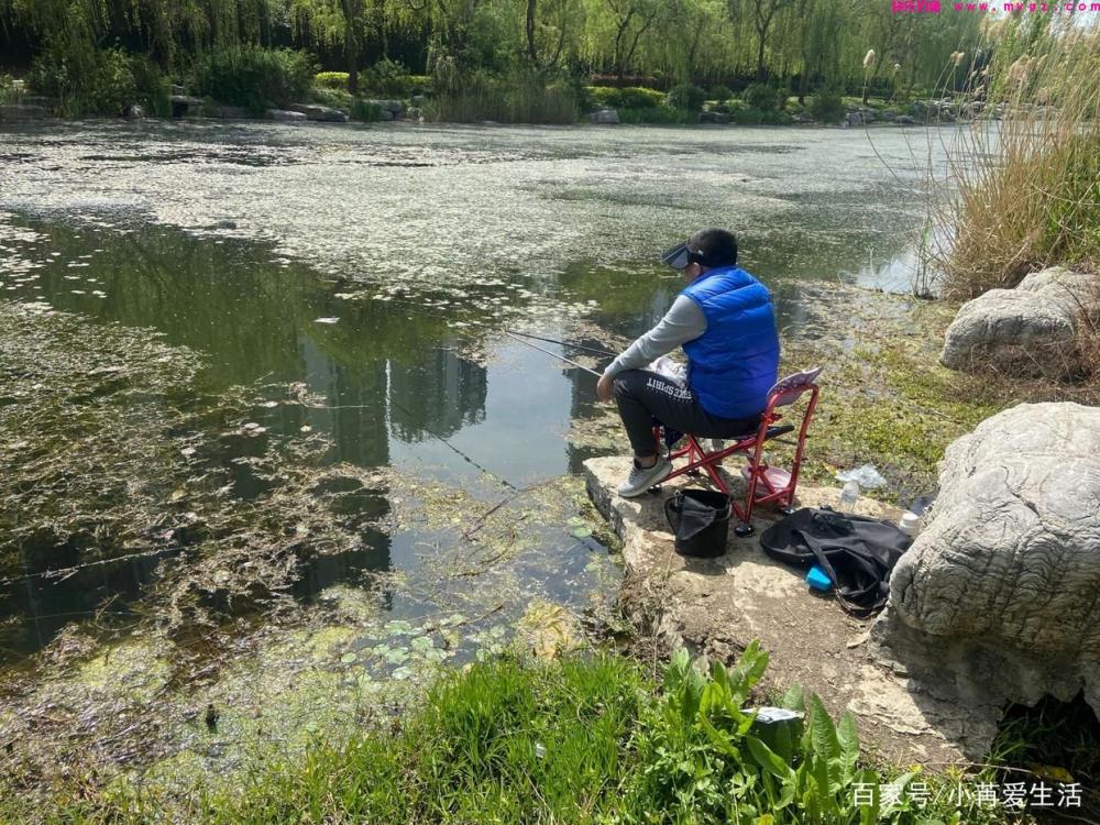 只要记住这些方法,就算你在春季钓草鱼,也能够轻松钓到(图1) 只要记住这些方法,就算你在春季钓草鱼,也能够轻松钓到(图1)