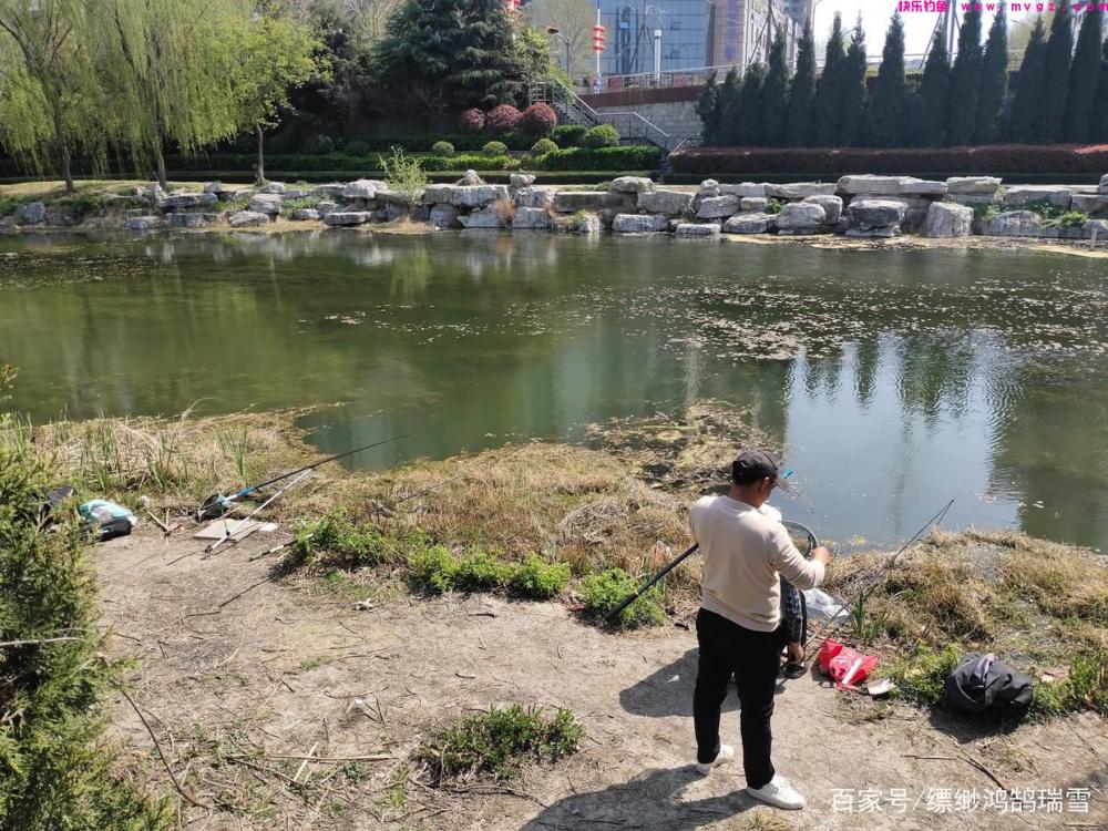 春季想要钓草鱼，只要记住这些小方法，大草鱼也能轻松钓(图3)