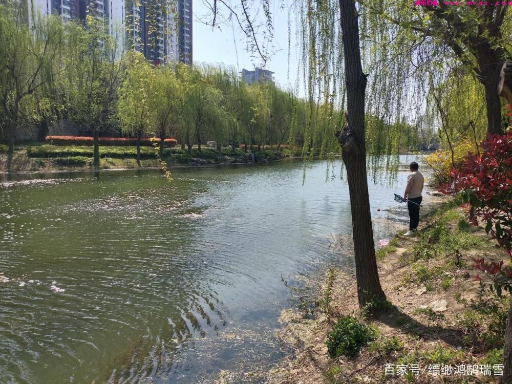 春季想要钓草鱼，只要记住这些小方法，大草鱼也能轻松钓(图5)