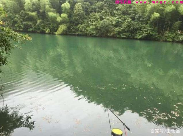 不要总是抱怨草鱼难钓，做好这些功课，就能“放长线，钓大鱼”(图5)