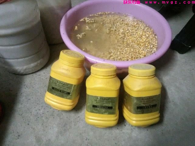谁说大草鱼难钓?从四个方面探究,分享三种钓法(图9) 谁说大草鱼难钓?从四个方面探究,分享三种钓法(图9)