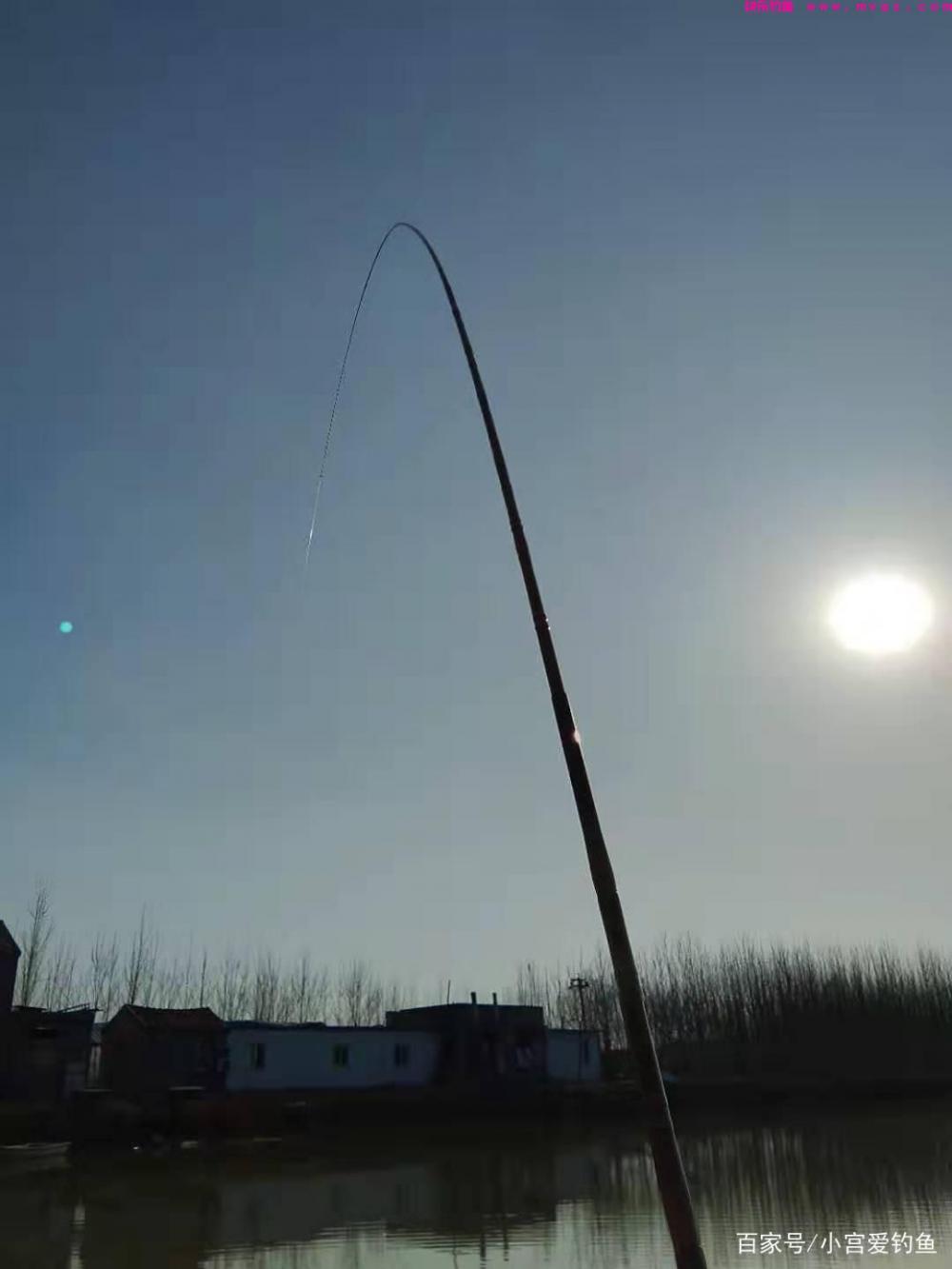 春季这么钓草鱼，看完不上鱼都难(图7)