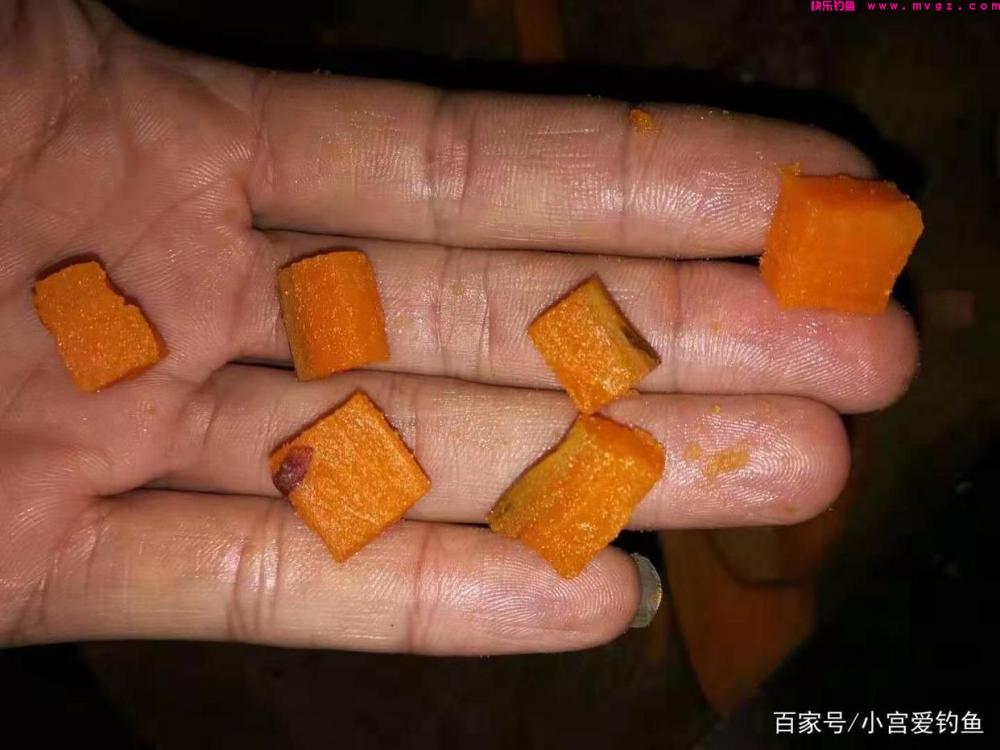 春季这么钓草鱼，看完不上鱼都难(图5)