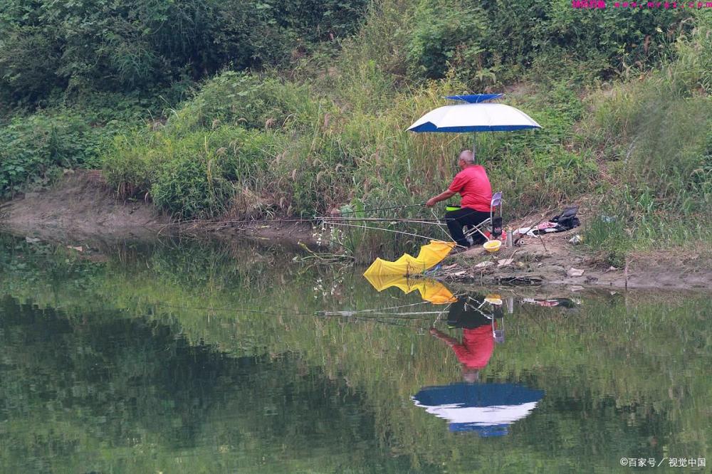 春季草鱼真难钓吗？详细告诉你春天怎样钓大草鱼(图3)