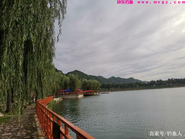 草鱼这个钓法最近火了,简单易上手,新手一学就会(图2) 草鱼这个钓法最近火了,简单易上手,新手一学就会(图2)