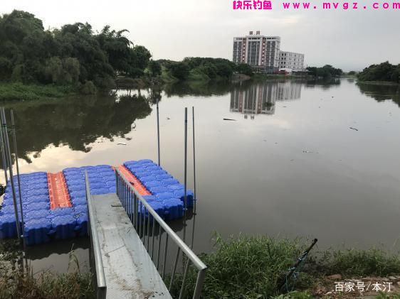 长竿短线钓草鱼——七星漂(图2)