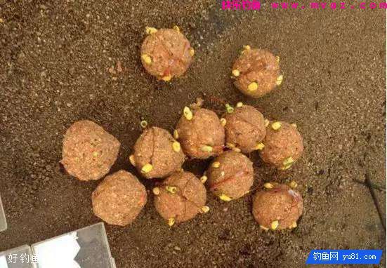 三款自制钓鲤鱼饵料配方,适合海竿配爆炸钩库钓(图3) 三款自制钓鲤鱼饵料配方,适合海竿配爆炸钩库钓(图3)