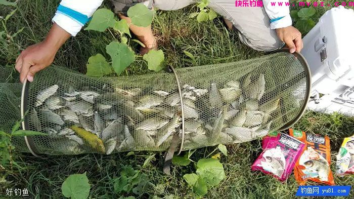 堪称经典:18种经钓友考验过的饵料配方(图1) 堪称经典:18种经钓友考验过的饵料配方(图1)