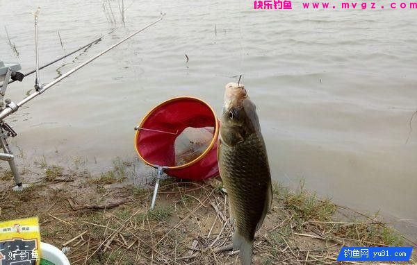 不同水况的打窝技巧和打窝方式(图1)