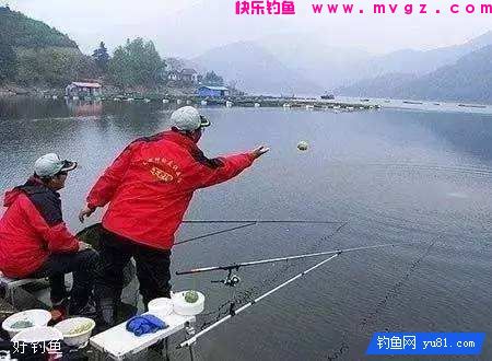 不同对象鱼的打窝饵料和打窝方法(图2) 不同对象鱼的打窝饵料和打窝方法(图2)