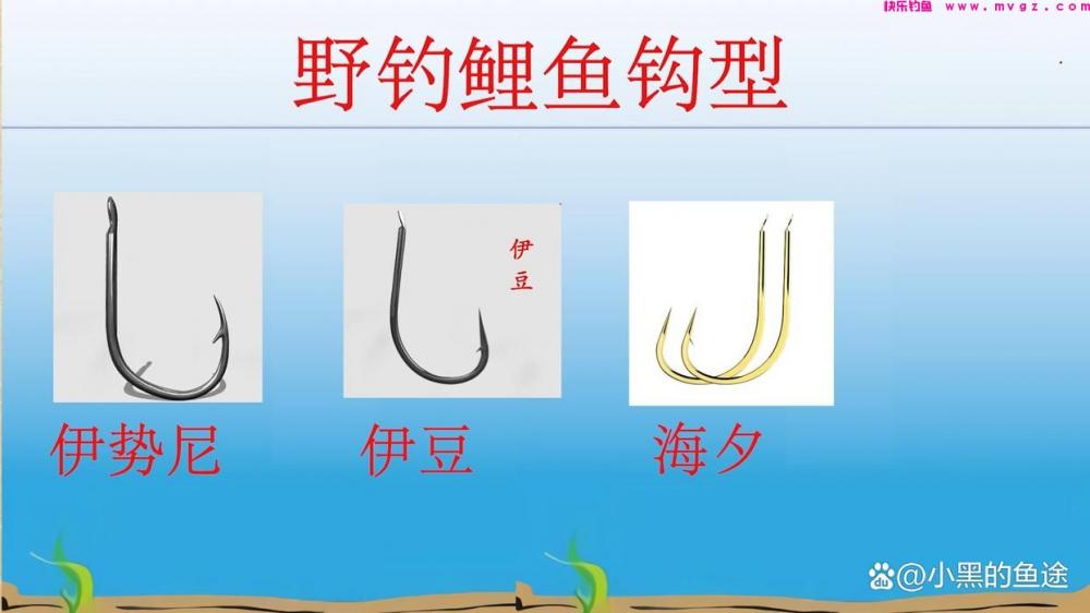 野钓鲤鱼用哪种鱼钩?大小、钩型详细讲解,新手用对很重要(图4) 野钓鲤鱼用哪种鱼钩?大小、钩型详细讲解,新手用对很重要(图4)