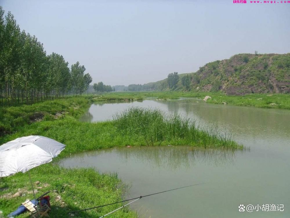 谷雨过后钓鲤鱼，掌握这5个关键点，轻松收获大鲤鱼！(图1)