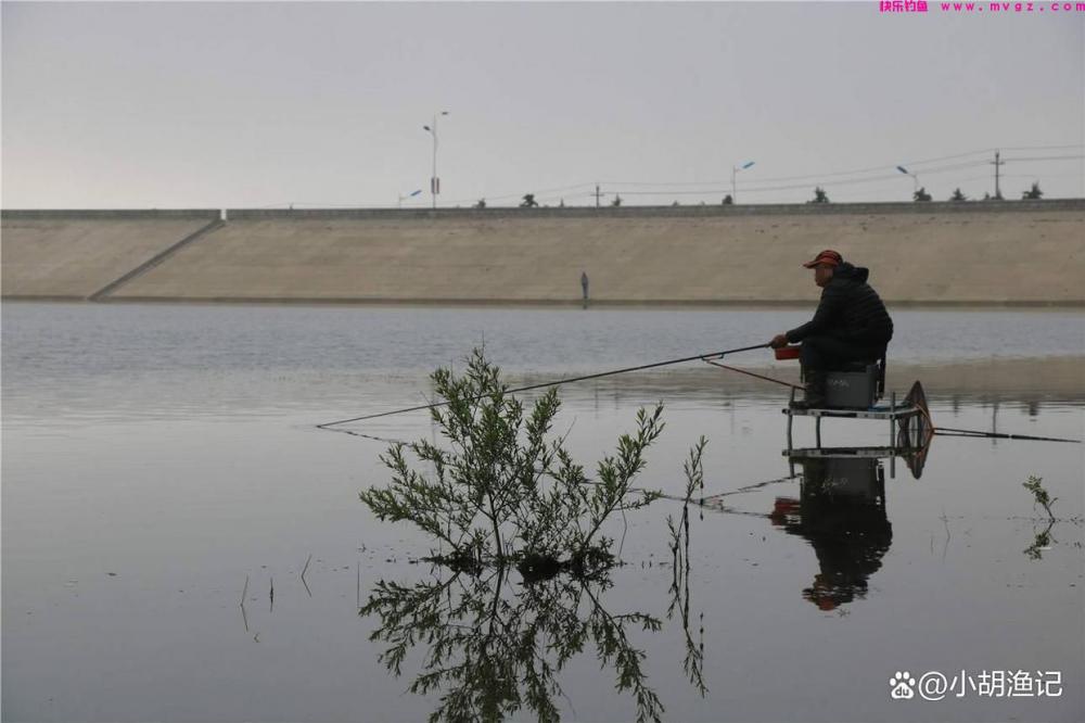 谷雨前后钓鲤，掌握鲤鱼3个习性及四个核心技巧，轻松钓获大鲤鱼(图4)
