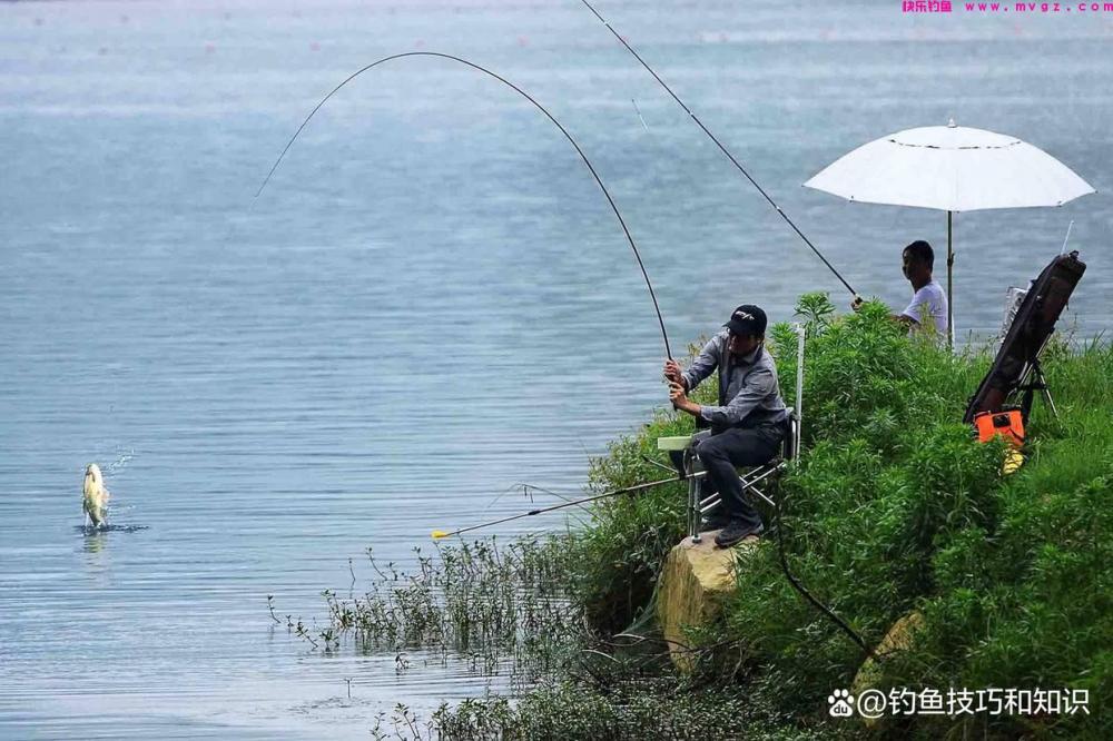 4月份钓鲤鱼，一天换4次钓点，全天不停口(图3)
