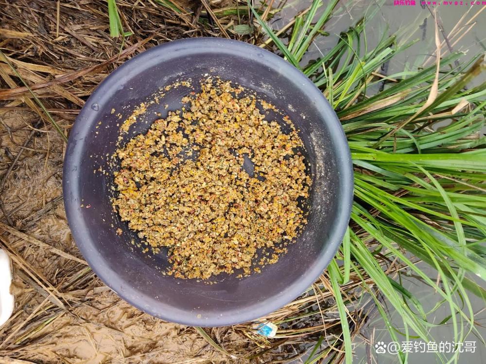 清明节前好不好钓鲤鱼?(图5) 清明节前好不好钓鲤鱼?(图5)