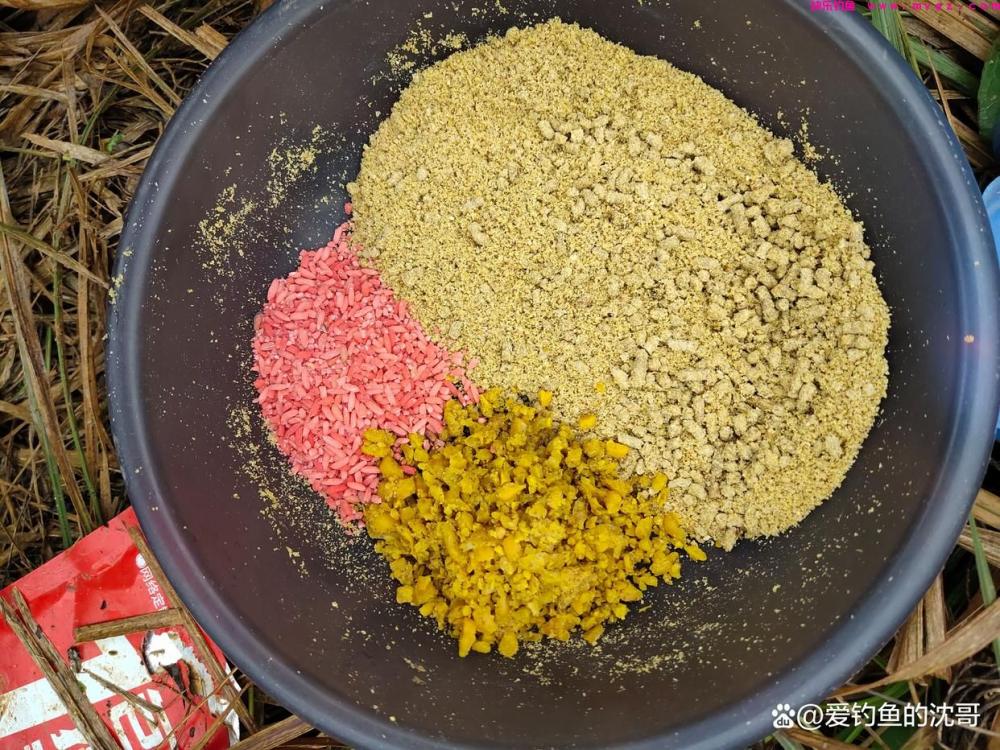 清明节前好不好钓鲤鱼?(图6) 清明节前好不好钓鲤鱼?(图6)