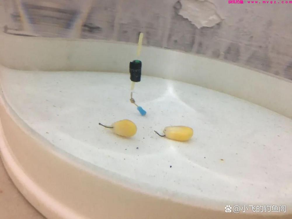 钓鲤鱼只学这2种调漂方法，不谈灵钝，能上鱼才是王道！(图2)
