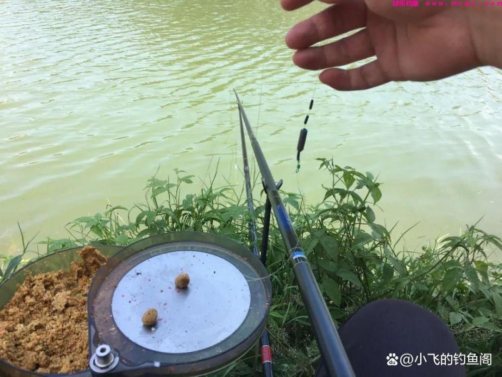 钓鲤鱼只学这2种调漂方法，不谈灵钝，能上鱼才是王道！(图1)