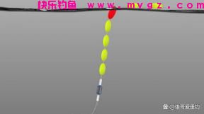 十几年钓鱼爱好者经验分享，谷麦逗钓如何钓鲤鱼草鱼？(图8)