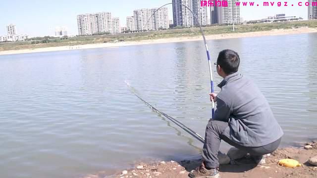 深秋野钓鲤鱼全攻略，大鲤鱼概率变高，位置最重要(图3)